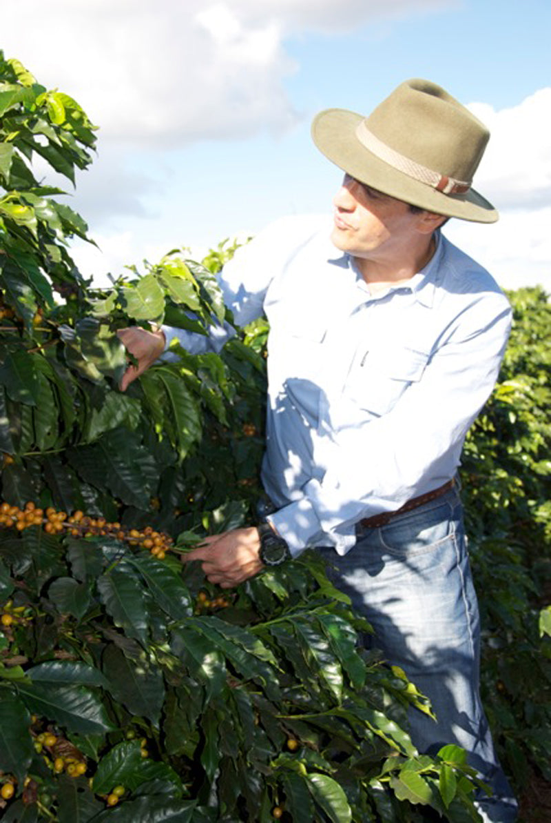 ISMAEL-ANDRADE-BSCA-BRASILIEN-KAFFEE